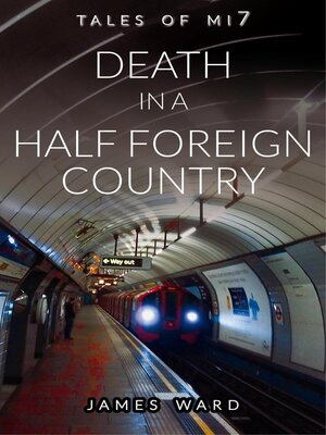 cover image of Death in a Half Foreign Country